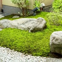 画像10083