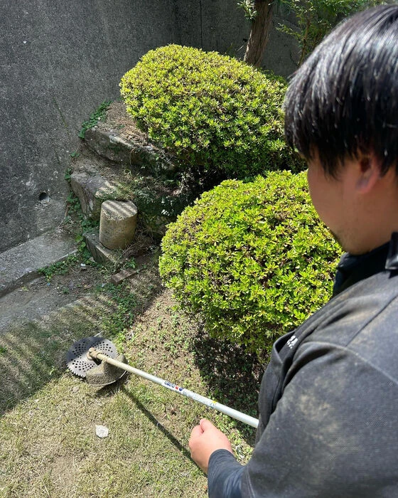 ブログ画像