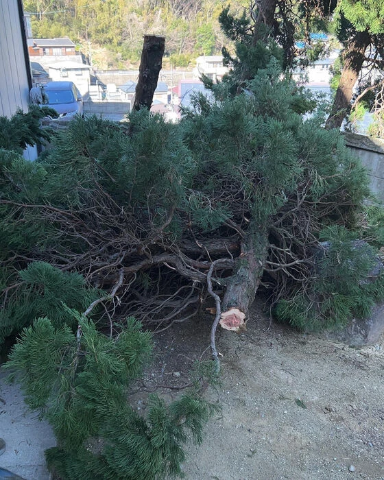 ブログ画像